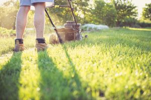 Beperk het onderhoud van je tuin tot het minimum